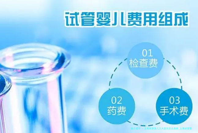 上海试管婴儿三大医院怎么选择_上海试管婴儿哪家医院好！