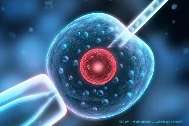 全面解析试管婴儿：从原理到成功案例的百科全书