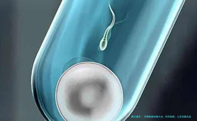 孕期胎教故事大全：科学胎教，让宝宝赢在起跑线