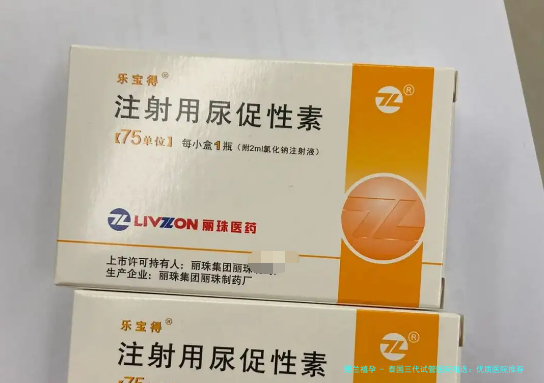泰国三代试管医院精选：优质医院推荐