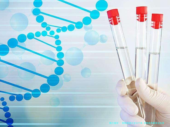 移植菜谱大全30个菜,孕期营养餐单这些菜谱你尝试过吗？