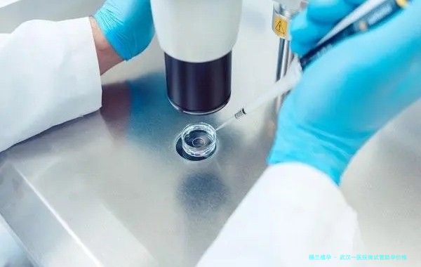 武汉一医院做试管助孕价格
