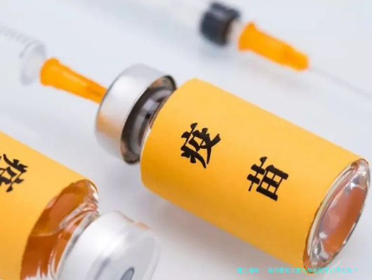 国内哪些试管助孕医院可以择生孩;？